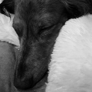 Meet your Posher, Danelle